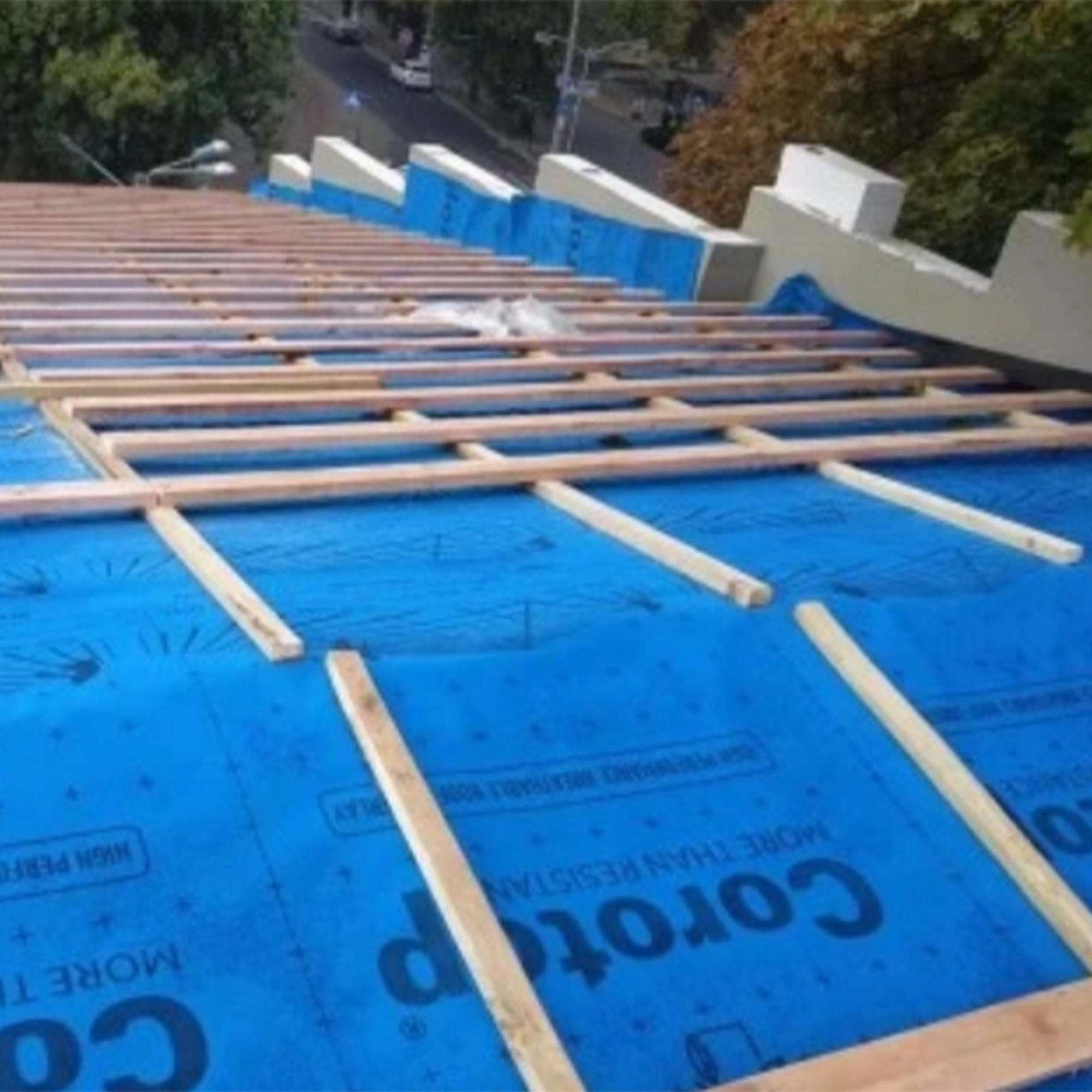 Corotop Blue   .webp