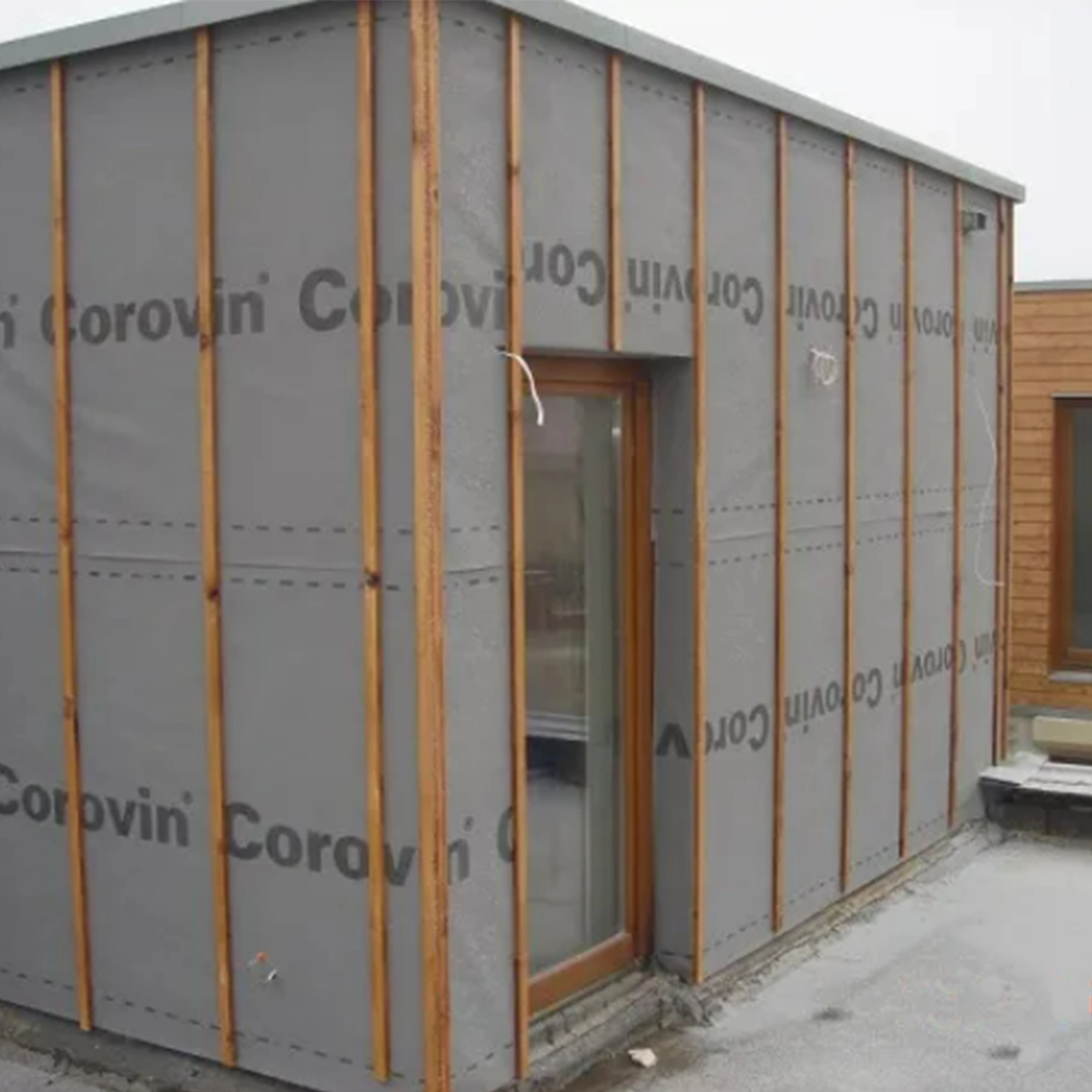 Corotop Corovin 100.webp