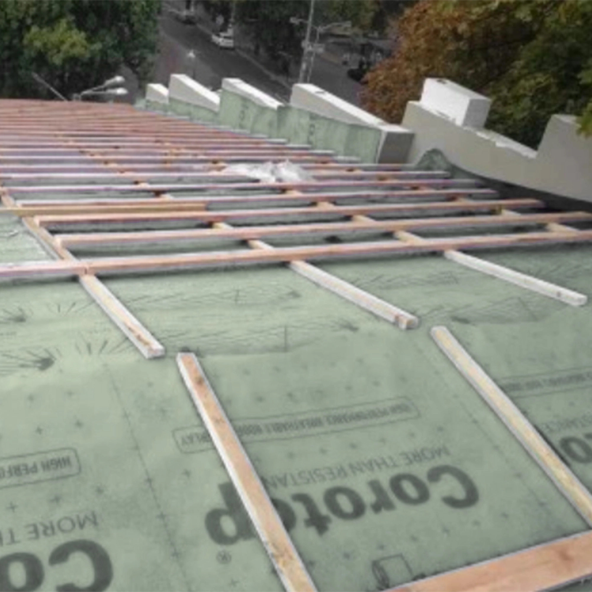 Corotop Smart 120g .webp